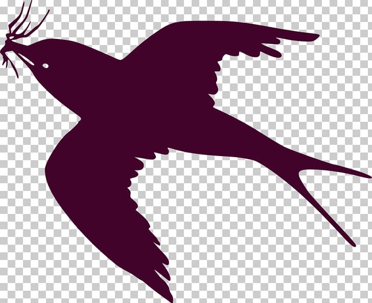 Bird Swallow Graphics Drawing PNG, Clipart, Animals, Art, Beak, Bird, Bird Flight Free PNG Download