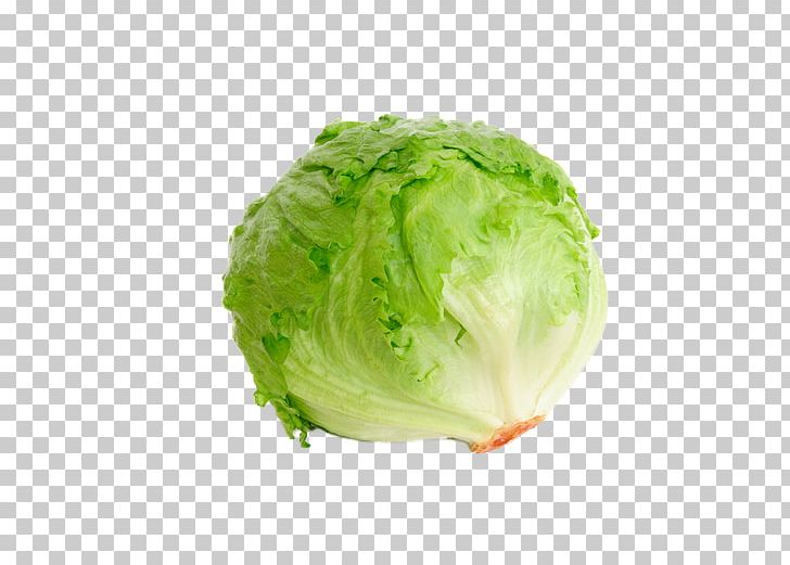 Iceberg Lettuce Organic Food Leaf Vegetable Salad PNG, Clipart, Cabbage, Cruciferous Vegetables, Food, Food Drinks, Frozen Food Free PNG Download