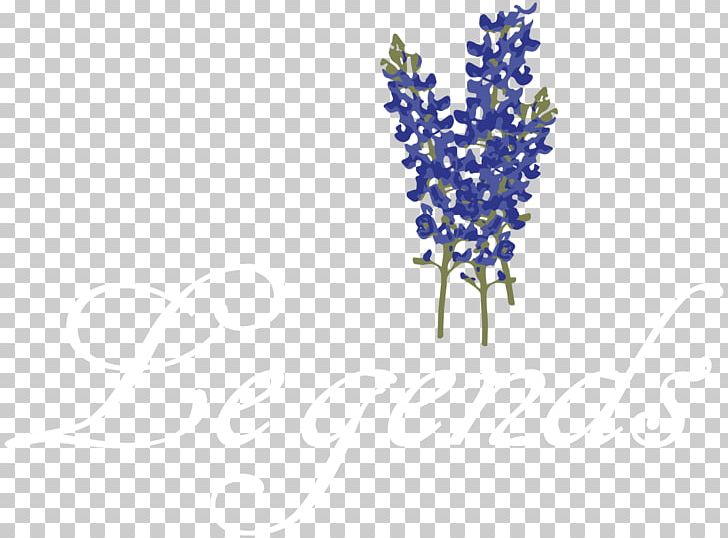 Lavender Body Jewellery Line Font PNG, Clipart, Arrangement, Blue, Body Jewellery, Body Jewelry, Branch Free PNG Download