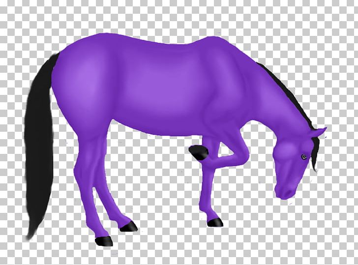 Mule Mustang Stallion Foal Pony PNG, Clipart, Animal Figure, Colt, Drawing, Equestrian, Fictional Character Free PNG Download