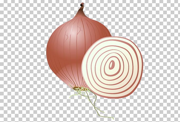 Onion Vegetable PNG, Clipart, Acne, Allium Fistulosum, Balloon Cartoon, Boy Cartoon, Cartoon Free PNG Download
