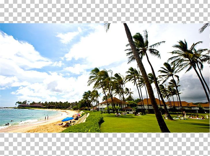Poipu Banyan Harbor Resort Hotel Beach PNG, Clipart, Accommodation, Arecales, Banyan Harbor Resort, Bay, Beach Free PNG Download