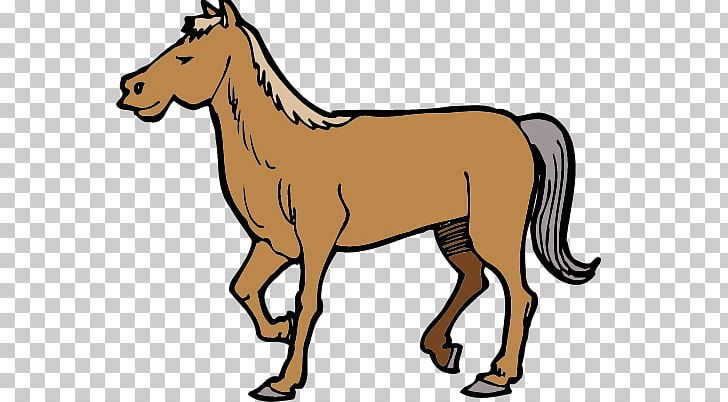 Portuguese Water Dog Mustang Mule Colt Stallion PNG, Clipart, Animal, Animals, Bridle, Cartoon Horse, Colt Free PNG Download