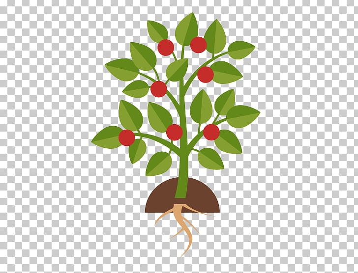 Tree Planting Sowing Infographic PNG, Clipart, Agro, Branch, Flat Design, Flower, Flowering Plant Free PNG Download