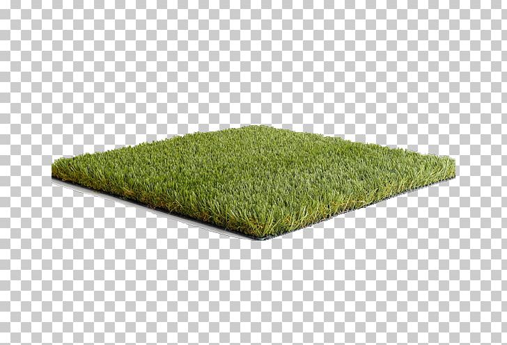 Artificial Turf Lawn Mowers Garden Namgrass UK PNG, Clipart, Apple, Artificial Turf, Blandford Forum, Child, Garden Free PNG Download
