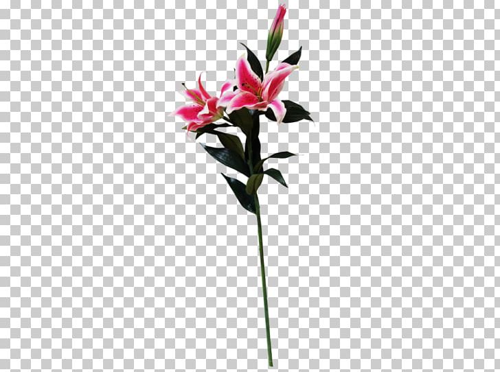 Cut Flowers Flora Flowerpot Artificial Flower PNG, Clipart, Artificial Flower, Cut Flowers, Flora, Flower, Flowering Plant Free PNG Download