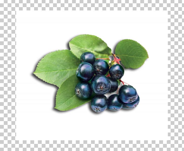 Blueberry Tea Aronia Melanocarpa Lingonberry Bilberry PNG, Clipart, Aristotelia Chilensis, Aronia, Aronia Melanocarpa, Berry, Bilberry Free PNG Download