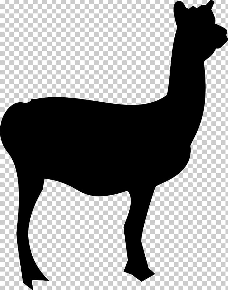 Llama Silhouette PNG, Clipart, Alpaca, Animal, Animals, Black And White, Camel Free PNG Download