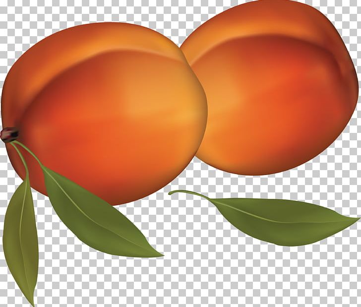 Peach Fruit PNG, Clipart, Apricot, Blog, Citrus, Computer Icons, Computer Wallpaper Free PNG Download