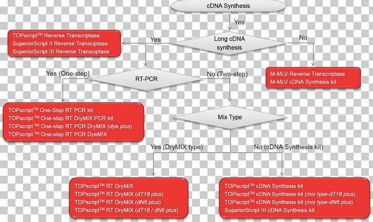 Reverse Transcriptase Complementary DNA Murine Leukemia Virus Reverse Transcription Polymerase Chain Reaction CDNA Library PNG, Clipart, Angle, Brand, Cloning, Dna, Enzyme Free PNG Download