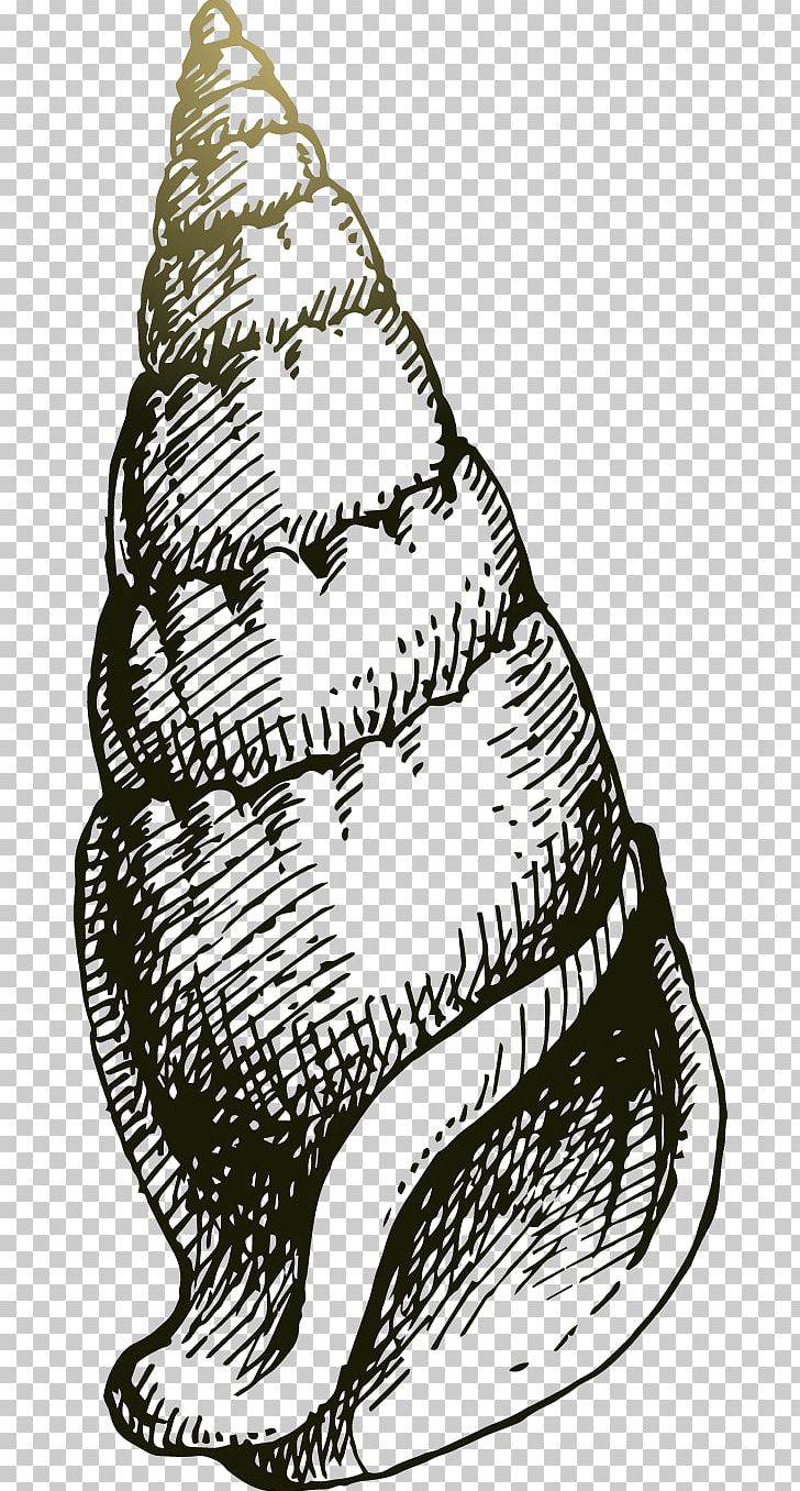 Drawing Sea Snail PNG, Clipart, Abstract Lines, Adobe Illustrator, Black, Black And White, Cartoon Free PNG Download