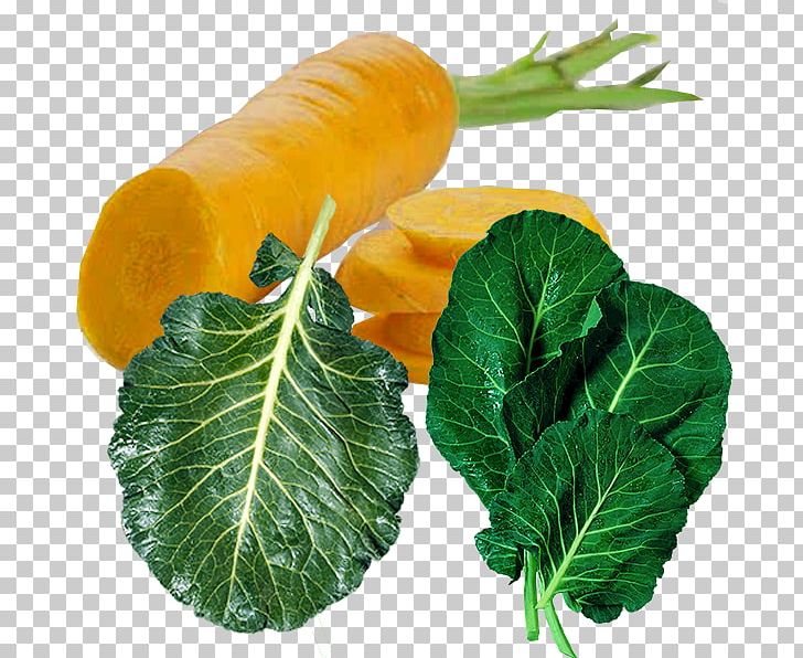 Smoothie Cabbage Cauliflower Broccoli Collard Greens PNG, Clipart, Brassica Juncea, Broccoli, Cabbage, Cabbage Family, Carrot Free PNG Download