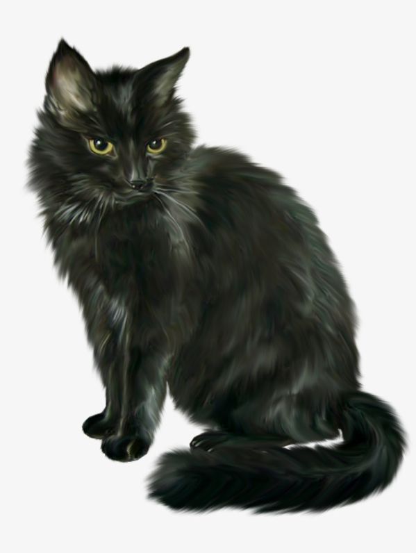 Black Cat PNG, Clipart, Animal, Black, Black Cat, Black Clipart, Cat Free PNG Download