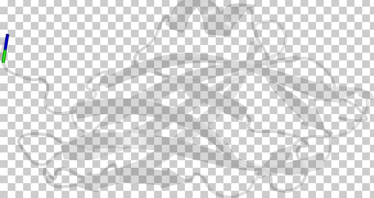 Drawing White Line Art PNG, Clipart, Amoxicillinclavulanic Acid, Art, Artwork, Black And White, Branch Free PNG Download
