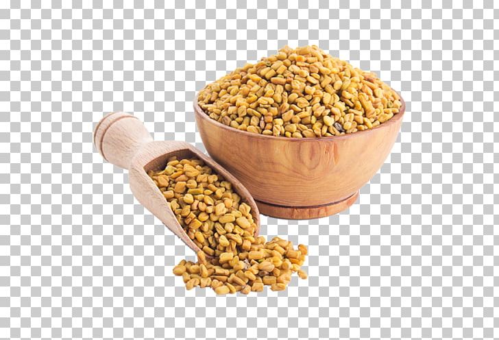 Fenugreek Coriander Spice Indian Cuisine Herb PNG, Clipart, Bean, Cereal, Commodity, Coriander, Curry Powder Free PNG Download