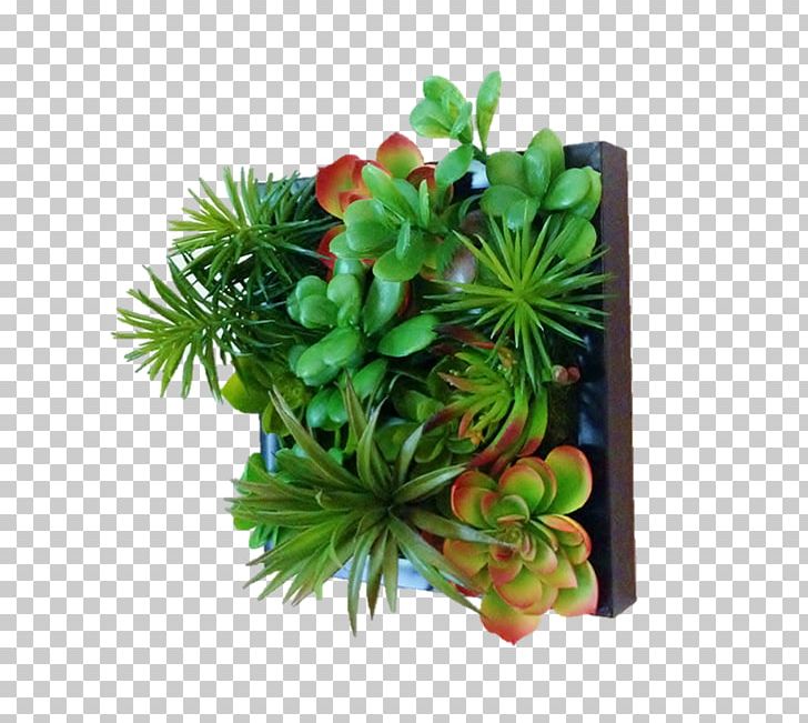 Green Wall Garden Flowerpot Succulent Plant PNG, Clipart, Art, Creativity, Flower, Flowerpot, Food Drinks Free PNG Download