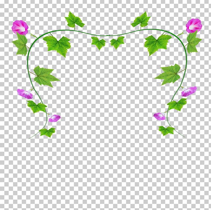 Ipomoea Nil Flower PNG, Clipart, Border, Branch, Decoration, Diagram, Fall Leaves Free PNG Download