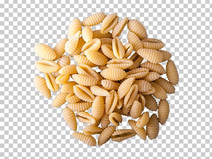 Pasta Gnocchi Vegetarian Cuisine Durum Food PNG, Clipart, Buckwheat, Cereal, Commodity, Conchiglie, Durum Free PNG Download