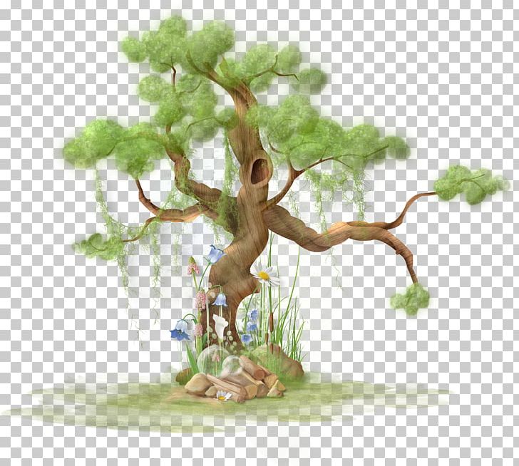 Tree Plant Paper Polyvore PNG, Clipart, Bonsai, Branch, Christmas Tree, Family Tree, Fir Free PNG Download