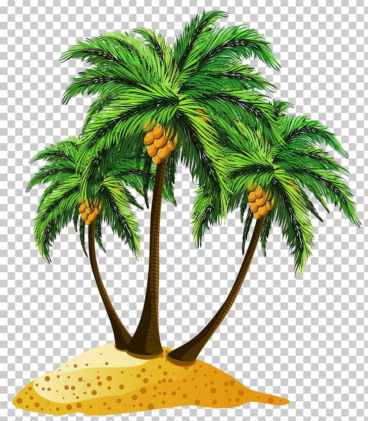 Beach Tree PNG, Clipart, Arecaceae, Arecales, Beach, Borassus Flabellifer, Clip Art Free PNG Download