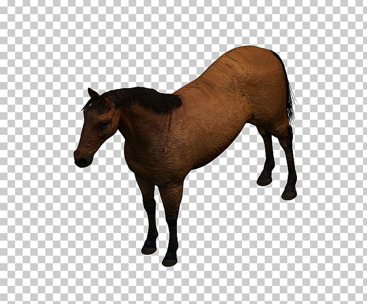 Mustang Mare Foal Pony Stallion PNG, Clipart, 3d Computer Graphics, Andalusian Horse, Animal Figure, Aut, Autodesk Revit Free PNG Download