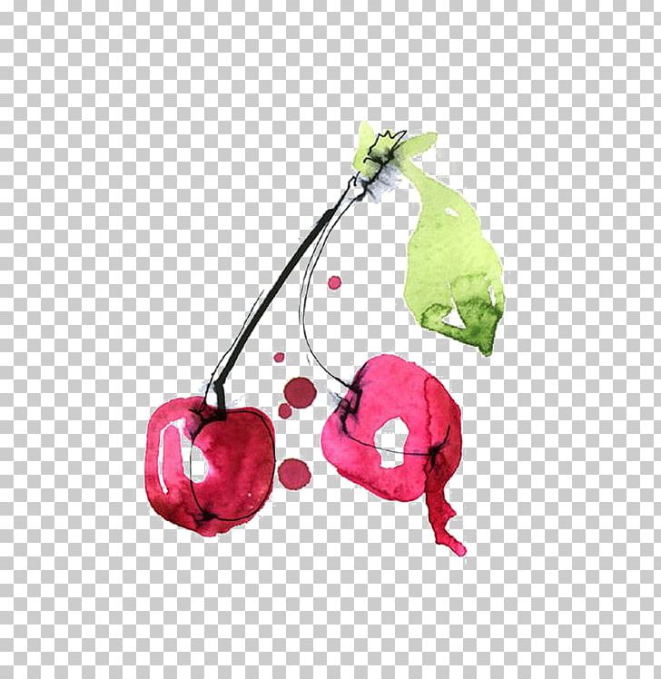 Cherry Kriek Lambic Fruit Illustrator Illustration PNG, Clipart, Cherries, Cherry Blossom, Cherry Blossom Tree, Cherry Flower, Cherry Tree Free PNG Download