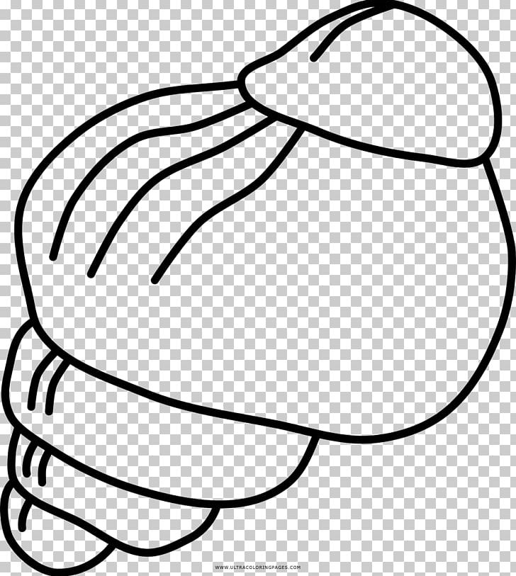 Gastropods Drawing Snail Caracola Coloring Book PNG, Clipart, Animals, Arm, Art, Beak, Black Free PNG Download