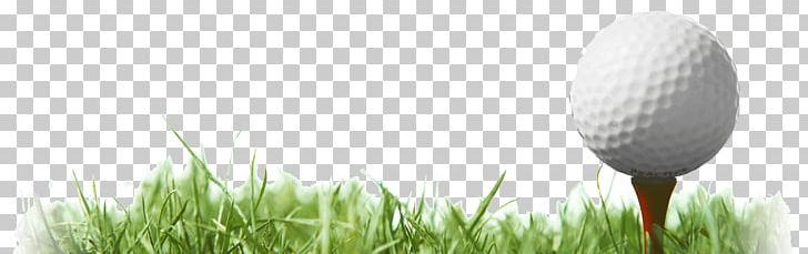 Golf Balls Golf Course Masters Tournament Augusta National Golf Club PNG, Clipart, Ball, Balls, Energy, Flower, Game Free PNG Download