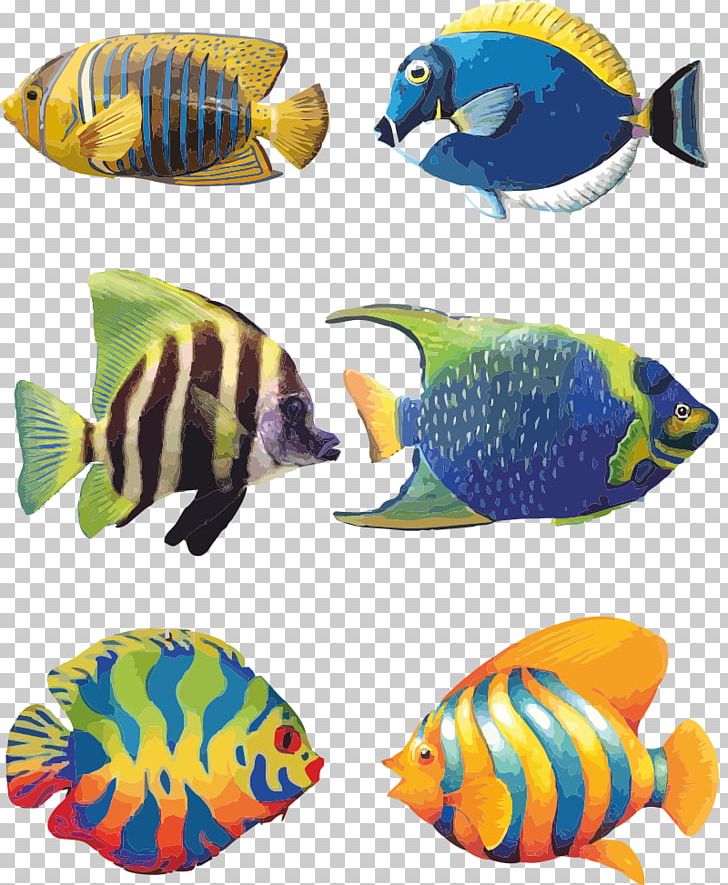 Koi Angelfish Tropical Fish Drawing PNG, Clipart, Angelfish, Animal Figure, Animals, Aquarium, Aquarium Decor Free PNG Download