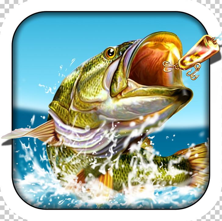 Pocket Fishing Fishing Fishing I Fishing 3 Ultimate Fishing Simulator PNG, Clipart, Amphibian, Android, App, Curling King Free Sports Game, Fauna Free PNG Download