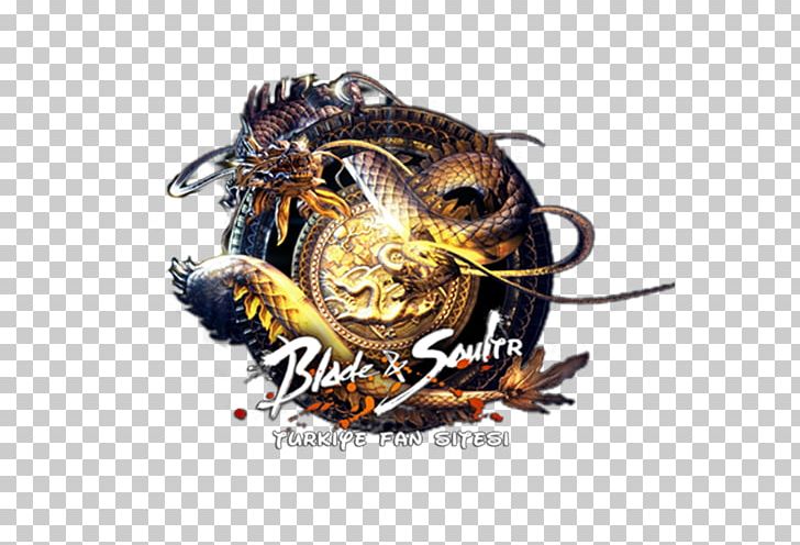 Blade & Soul TERA Blood And Soul NCSOFT Computer Icons PNG, Clipart, Amp, Blade, Blade And Soul, Blade Soul, Blood Free PNG Download