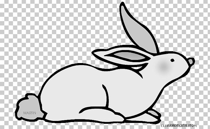 Domestic Rabbit Hare PNG, Clipart, Animal, Animal Figure, Animals, Art, Artwork Free PNG Download
