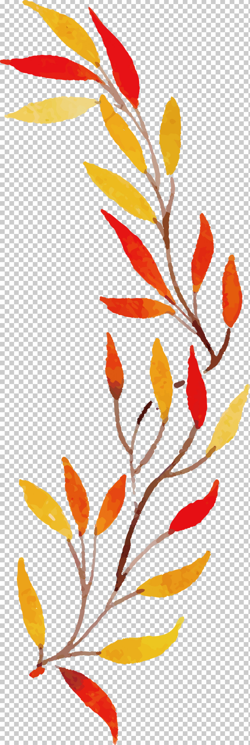 Autumn Leaf Colorful Leaf PNG, Clipart, Autumn Leaf, Colorful Leaf, Flora, Floral Design, Leaf Free PNG Download