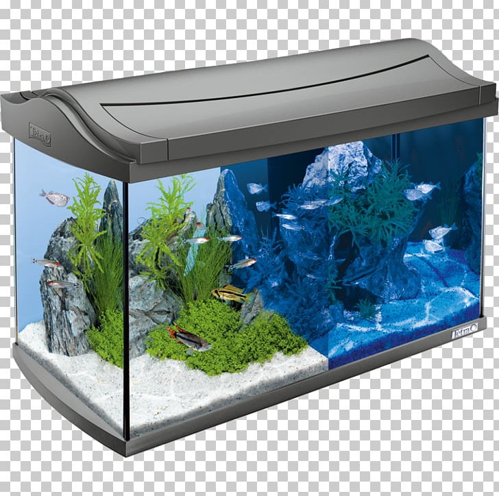 Aquarium Light-emitting Diode Tetra LED Lamp PNG, Clipart, Aquarium, Aquarium Decor, Aquarium Filters, Aquarium Lighting, Fish Free PNG Download