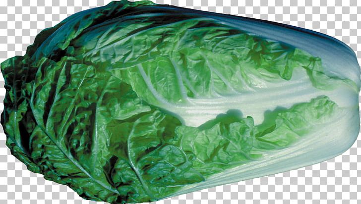 Collard Greens Spring Greens Cabbage Romaine Lettuce Leaf PNG, Clipart, Cabbage, Cabbage Cartoon, Cabbage Leaves, Cartoon Cabbage, Chinese Cabbage Free PNG Download