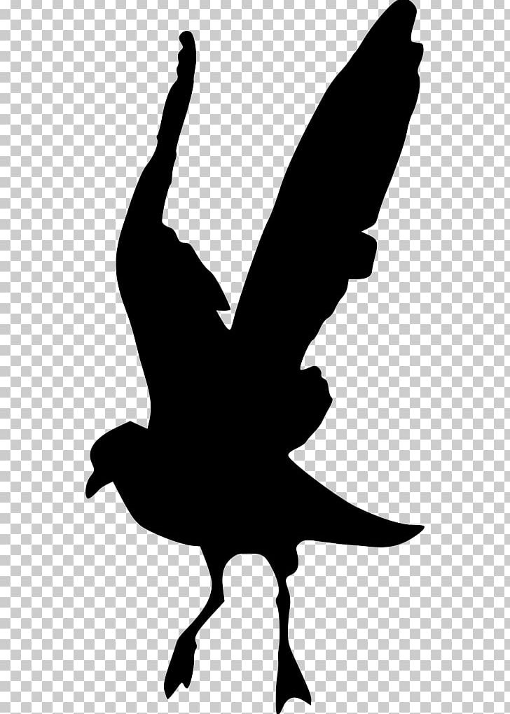 Silhouette PNG, Clipart, Animals, Artwork, Austral Pacific Energy Png Limited, Beak, Bird Free PNG Download