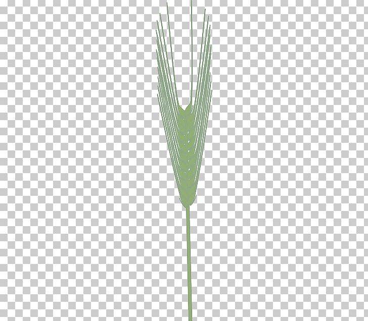 Wheat Cereal Barley Crop Agriculture PNG, Clipart, Agriculture, Barley, Cereal, Commodity, Crop Free PNG Download