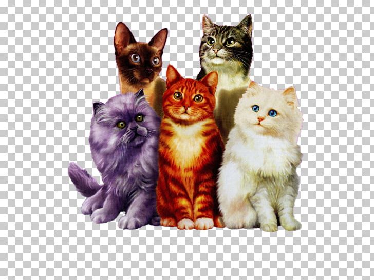 World Cat Day Kitten Animaatio PNG, Clipart, American Wirehair, Animaatio, Animals, Anime, Asian Free PNG Download