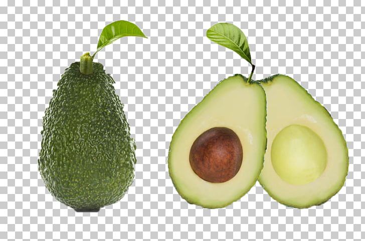 Avocado Auglis Fruit Photography PNG, Clipart, Auglis, Avocado, Avocado Oil, Cartoon Papaya, Diet Food Free PNG Download
