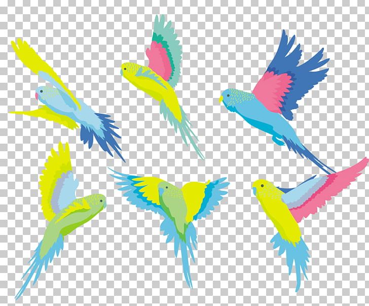 Budgerigar Bird Parrot Parakeet PNG, Clipart, Animal, Animals, Beak, Bird, Bird Cage Free PNG Download