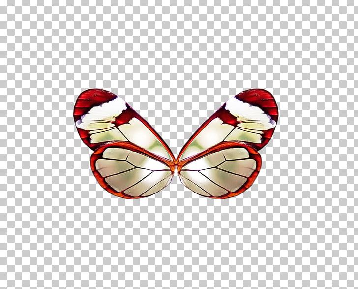 Butterfly PNG, Clipart, Angel Wing, Angel Wings, Butterfly, Chicken Wings, Clip Art Free PNG Download