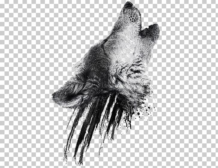 Gray Wolf Sleeve Tattoo Isaac Lahey Jack London PNG, Clipart, Animal, Beak, Black, Black And White, Claw Free PNG Download