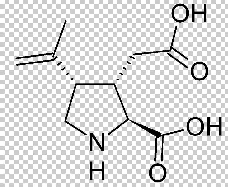 Kainic Acid Structure–activity Relationship Pharmaceutical Drug Chemical Compound PNG, Clipart, Acid, Acid Salt, Angle, Area, Black Free PNG Download