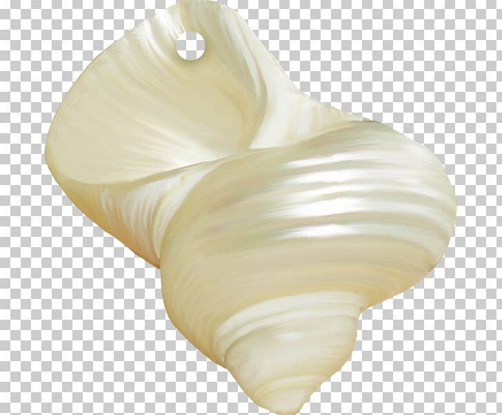 Seashell Shankha Oyster Pearl PNG, Clipart, Aesthetics, Animals, Bachmann, Drawing, Iridescence Free PNG Download