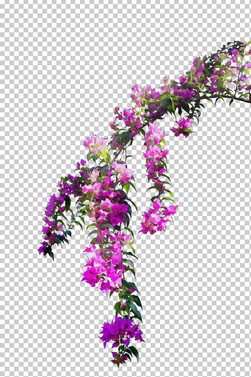 Floral Design PNG, Clipart, Artificial Flower, Biology, Cut Flowers, Flora, Floral Design Free PNG Download
