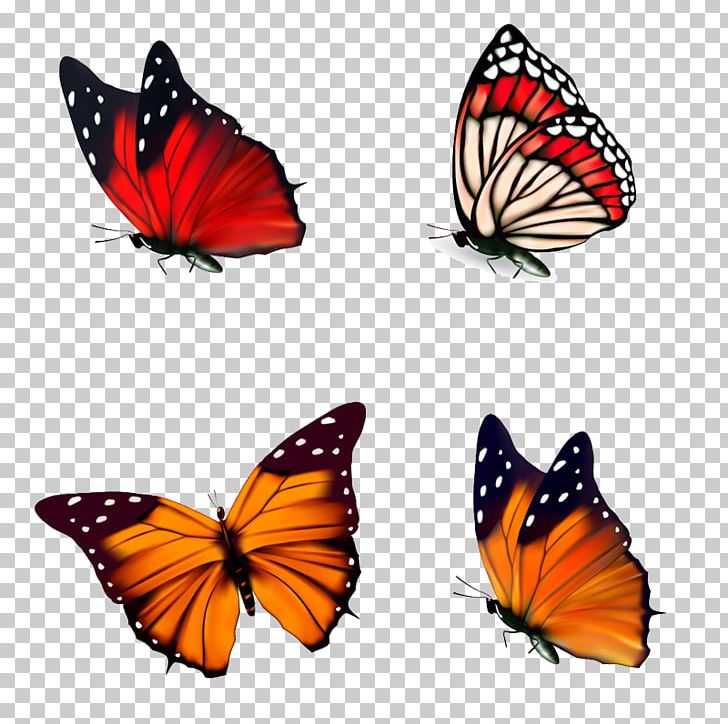 Butterfly Poster Illustration PNG, Clipart, Brush Footed Butterfly, Bureau, Butterflies, Butterfly Group, Floating Free PNG Download