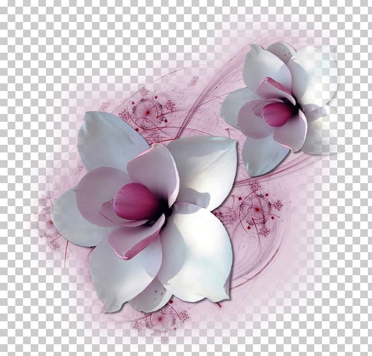 Cut Flowers Petal Floral Design Flower Bouquet PNG, Clipart, Beyza, Blossom, Cut Flowers, Deco, Fantasy Free PNG Download