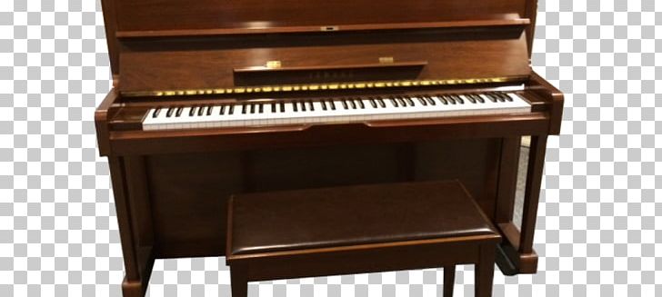 Digital Piano Electric Piano Player Piano Celesta PNG, Clipart, Celesta, Digital Piano, Electric Piano, Electronic Instrument, Electronic Keyboard Free PNG Download