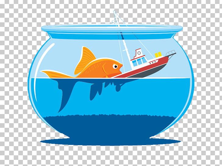 Colorful decorative fish in various color and shapes. Vector illustration  set collection of water animal with cartoon flat art style colors drawing  13735692 Vector Art at Vecteezy