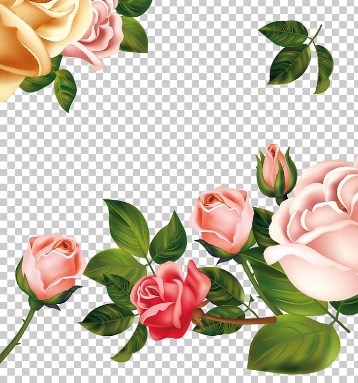 Garden Roses Beach Rose Centifolia Roses Pink PNG, Clipart, Artificial Flower, Centi, Cut Flowers, Encapsulated Postscript, Floral Design Free PNG Download